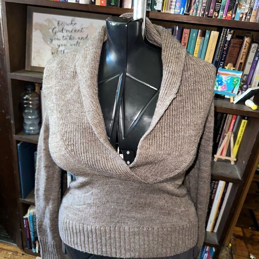 J Crew heathered brown v-neck alpaca merino wool sweater